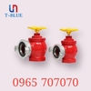 Họng tiếp nước cứu hỏa 2 cửa TQ D100