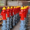 Trụ cứu hỏa 2 cửa BQP
