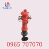 Họng tiếp nước cứu hỏa 2 cửa TQ D100