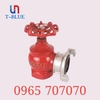 Họng tiếp nước cứu hỏa 2 cửa TQ D100