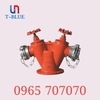 Họng tiếp nước cứu hỏa 2 cửa TQ D100