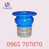 ATZ - Van cổng ty chìm