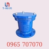 AUT - Van bướm tay quay không mặt bích