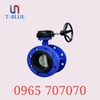 AUT - Van bướm tay quay không mặt bích
