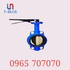 AUT - Van bướm tay quay không mặt bích