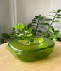 Màu xanh lá 2.5L