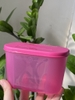 Full tím