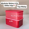Full Đỏ