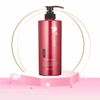 Sữa tắm Kumano chiết xuất dầu Tsubaki 600ml