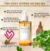 Tinh Chất Skin1004 Rau Má Giảm Mụn & Phục Hồi Da 55ml Madagascar Centella Ampoule