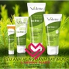 Bộ 04 sản phẩm dưỡng da, ngừa mụn tinh chất tràm trà *TEA TREE OIL* VEDETTE