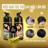 Dầu gội nhân sâm phủ bạc màu nâu Sin Hair A Washing Color 500ml