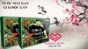 Nước Mát Gan Daehan - Hovenia dulcis Hàn Quốc, Hộp 30gói
