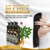 Dầu gội nhân sâm phủ bạc màu nâu Sin Hair A Washing Color 500ml