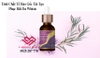 Tinh Chất Chống Lão Hóa Da Whisis Pure Esthetic Repairing Cure Ampoule