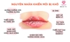 Son dưỡng môi DHC lip cream thỏi 1.5g