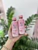 Mask Volayon Tảo (xanh lá) SPN