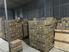 Nhám Xếp Xanh 72 Lá