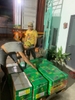 Chén Cước 100 đánh gỉ sắt