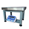 Cân ghế ngồi 60kg, 100kg, 200kg, 300kg, 500kg, 600kg ID21 Cân ghế ngồi 60kg, 100kg, 200kg, 300kg, 500kg, 600kg ID21 Vishiko