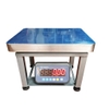 Cân ghế ID21ECân ghế ID21E Vishiko 60kg 100kg 150kg 200kg 300kg 500kg 600kg 60kg 100kg 150kg 200kg 300kg 500kg 600kg