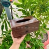 Hộp Giấy Gỗ Chữ Nhật - Luxi Decor