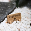 BẢNG RESERVED - ĐÃ ĐẶT BÀN - FREE KHẮC LOGO - LUXI DECOR