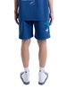 PC® BLUE HUG OR CRACK SHORTS