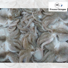 Frozen Octopus