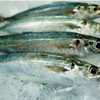 Frozen Mackerel Surimi