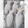 Frozen Broad Squid