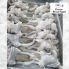 Frozen Broad Squid
