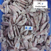 Frozen Squid