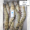 Frozen Black Tiger Shrimp