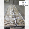 Frozen Black Tiger Shrimp