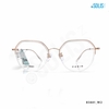 KÍNH KIM LOẠI HIỆU PARIM 83441_W2