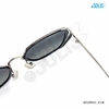 KÍNH MÁT HIỆU EXFASH EF29951_C10