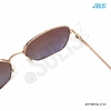 KÍNH MÁT HIỆU EXFASH EF70910_C31