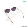 KÍNH MÁT HIỆU EXFASH EF70951_C31