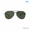 KÍNH MÁT HIỆU EXFASH EF70973_C02