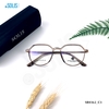KÍNH KIM LOẠI HIỆU SAINT BROWN SB0362_C3