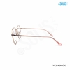 KÍNH KIM LOẠI HIỆU VELOCITY VL26929_C02