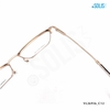KÍNH KIM LOẠI HIỆU VELOCITY VL26956_C12