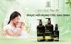 LÀM CÁCH NÀO ĐỂ PHỤC HỒI RỤNG TÓC SAU SINH?