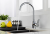 Vòi bếp nóng lạnh Esinc F20B0004