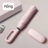 o-rong-gap-3-24-nan-nason-umbrella-n24090604