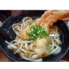 set-10-goi-my-udon-tuoi-c24040403