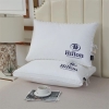 combo-2c-goi-hilton-m24070512