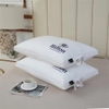 combo-2c-goi-hilton-m24070512