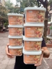 combo-8-hop-dung-thuc-pham-inoch-m24041108